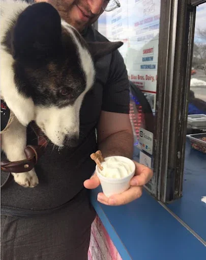 Pup cup ice cream treat for dogs at Hilltop Creamery in East Greenwich, Rhode Island